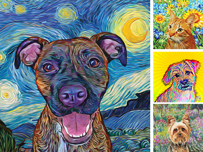 Pet Portraits
